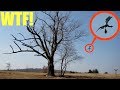 Disturbing you will not believe what my drone saw at the devils tree jersey devil spotted