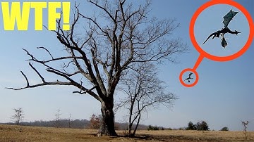 (Disturbing) You will not believe what my drone saw at the Devils Tree (Jersey Devil spotted)