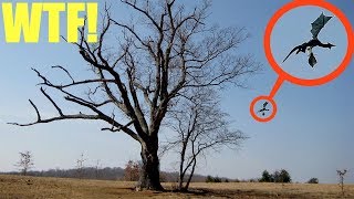 (Disturbing) You will not believe what my drone saw at the Devils Tree (Jersey Devil spotted)