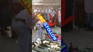 kaisa laga mera mazaak