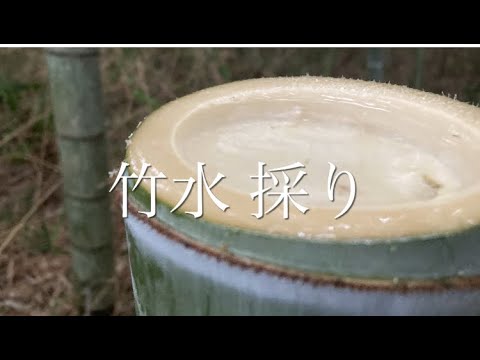 【竹水採り】・【竹水でミキ作り】作り方 - YouTube