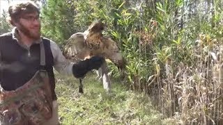 Celebrity hunting squirrels with a hawk (falconry) Net Worth