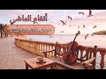 موسيقى هادئة 🎶 تلامس الروح "أنغام الماضي" حيث تعيش الذكريات في لحنٍ هادئ يحمل الحنين ويوقظ المشاعر