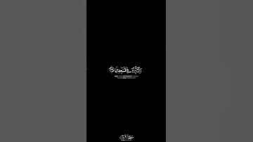 كروما شاشة سوداء وتوكل على العزيز الرحيم || بصوت القارئ : #محمد_هشام • #سورة_الشعراء