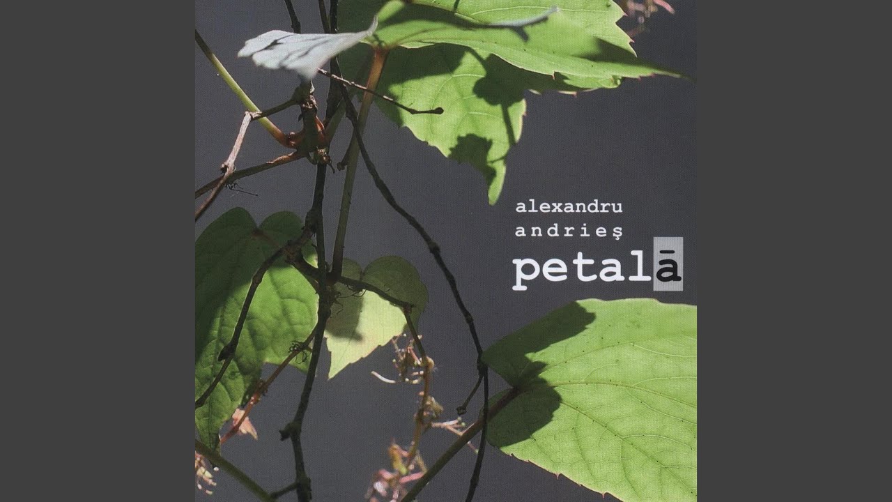 Guarda Capul & gitul su YouTube Guarda Capul & gitul su YouTube