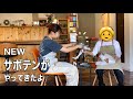 【おばあちゃんと】働くカフェに新しい植物を仲間入りした日🪴🌵👵#カフェ経営 #カフェ巡り #おばあちゃんと孫 #喫茶店 #静岡 #植物 #サボテン