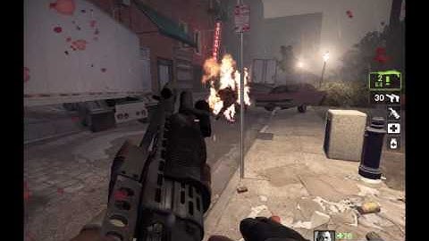 Last Man on Earth l4d2 mutation