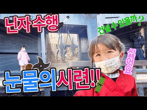 ✨노노짱 닌자 수행의 여행🥷✨