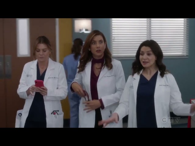 Greys Anatomy 18x16 Addison Montgomery Returns class=