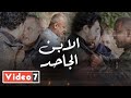 الابن الجاحد اعتدى على ابوه علشان شغال على عجلة شوف رد المصريين