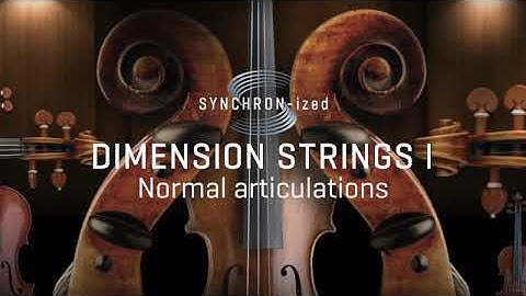 Synchon Ized Dimension Strings Vienna