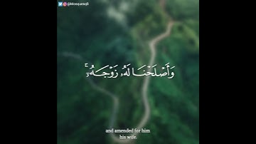 ادريس ابكر - سورة الأنبياء || وزكريا إذ نادى ربه رب لا تذرني فردا
