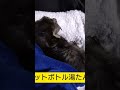 2025年9月30日