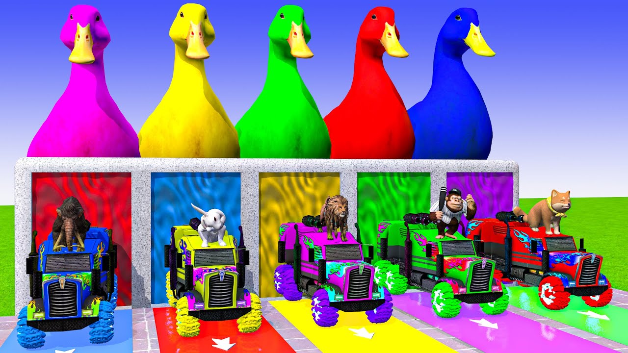 5 Giant Duck Cartoon,Cow,Mammoth,Lion,Monkey,Shiba Paint Wild Animals Crossing Fountain Animation