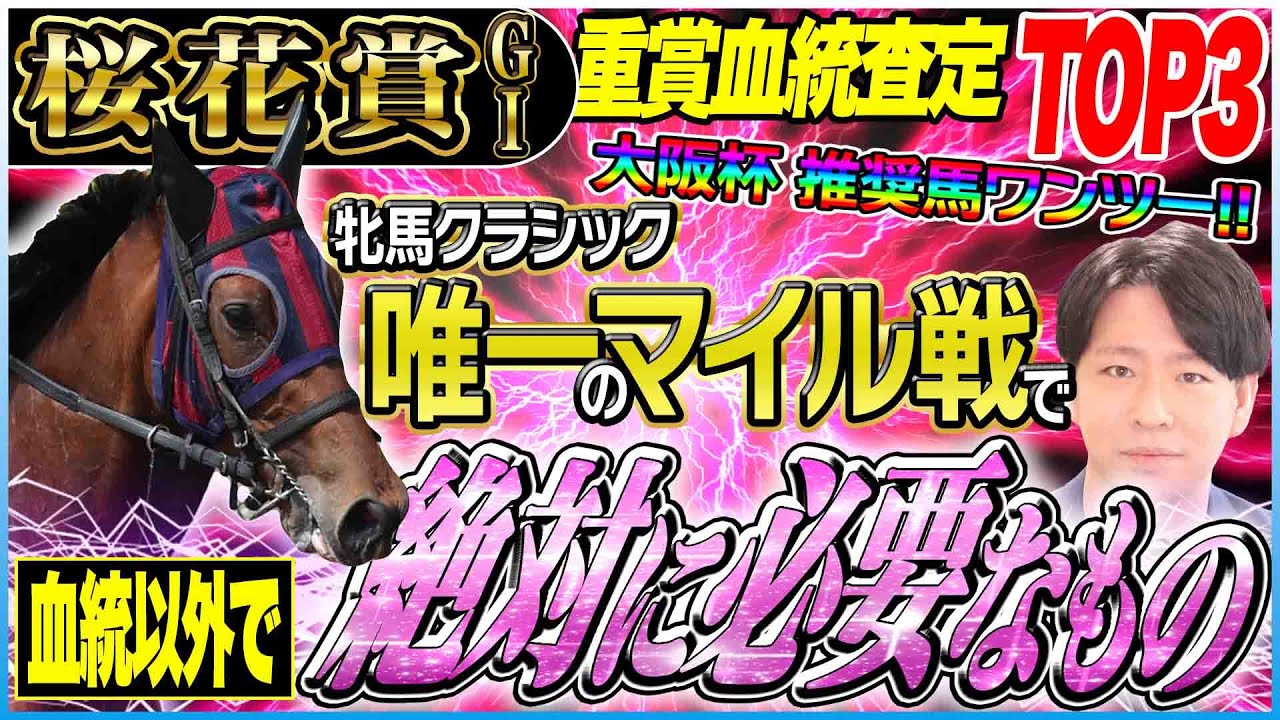 貴重！ヴィブロス　16年  秋華賞　現地的中単勝馬券　値下げ予定なし　ラスト1枚 秋華賞(G1) 結果・払戻 | 2016年10月16日 京都11R レース情報
