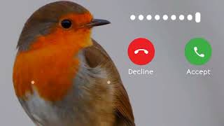 beautiful voice instrumental - instrumental ringtone - birds voice instrumental screenshot 4