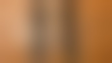 AR-15 vs M-16 Cut Lower Receiver (Aero/Geissele)