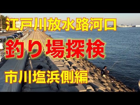 江戸川放水路河口、市川塩浜側（市川漁港）の釣り場探検