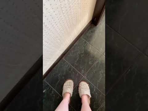 Как заставить собаку