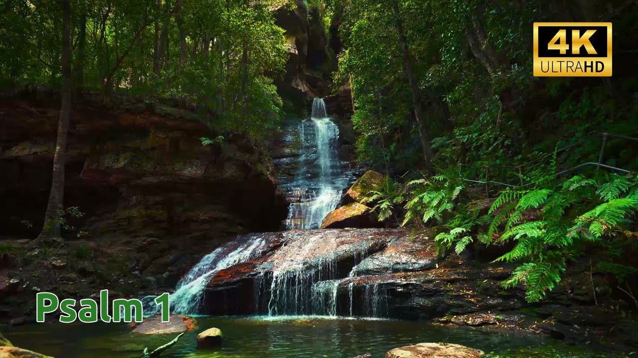 Psalm 1 (KJV) | 30-Minute Calm Scripture Meditation | Deep Peace & Stillness