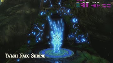 CEMU 1.11.3 | 60 FPS 1440P | AMAZING PERFORMANCE IN BOTW