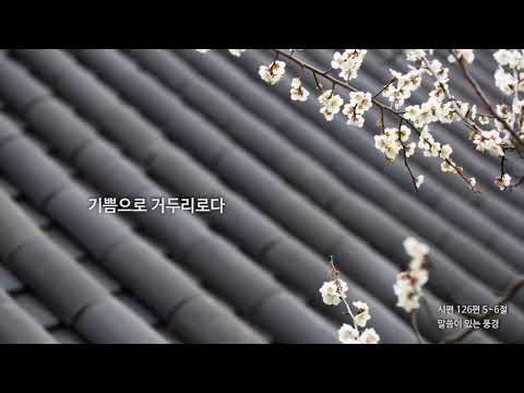 [신천지 예수교회] 말씀이 있는 풍경 - 봄 - 78 - 시편 126편 5~6절
