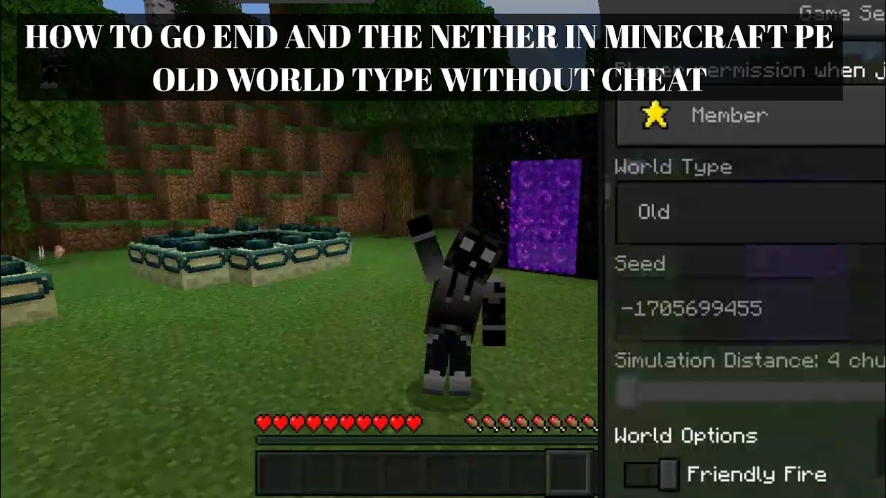 HOW TO GO END AND THE NETHER IN MINECRAFT PE OLD WORLD
