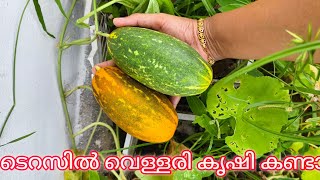 ടറസൽ വളളര കഷ കണടല