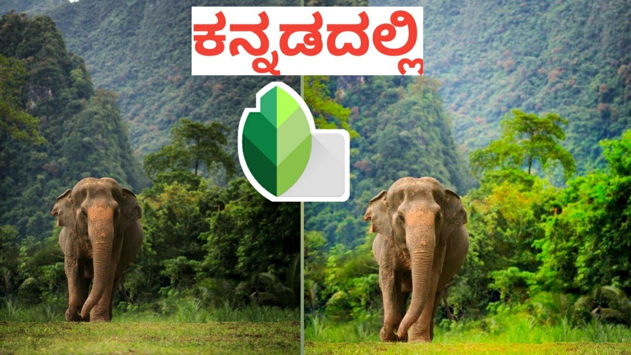 snapseed photo editing kannada ಕನ್ನಡ snapseed editing in kannada