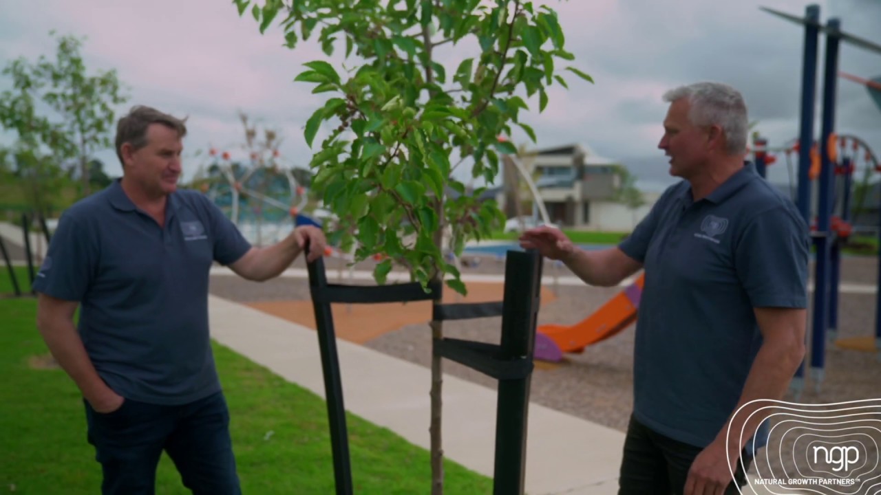 Treetop case study 07 picture