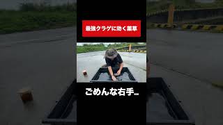 最強クラゲに刺されたらこの葉っぱを使え!