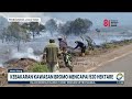 Kebakaran Kawasan Bromo Mencapai 520 Hektare  - [Metro Siang]