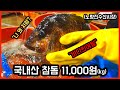 노량진수산시장 국내산참돔 11,000원/지금이야 달려!!/ 참돔미나리매운탕라면 리뷰...