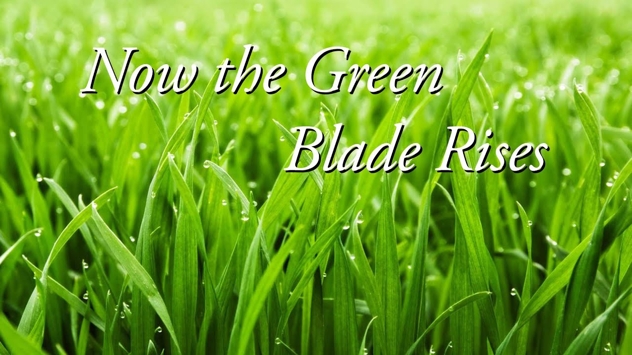 Now the Green Blade Rises Horn and Voice arrangement YouTube