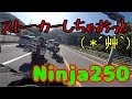 【Ninja250】雑談するストーカー【モトブログ】