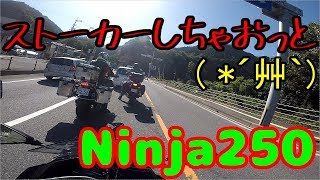 【Ninja250】雑談するストーカー【モトブログ】