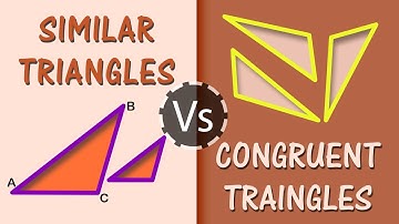 What is the Difference Between Similar & Congruent Triangles | Quadrilateral Polygons | Geometry