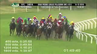 Nao Da Mais (BRZ) - 2019 Carlos Pellegrini Grand Prix