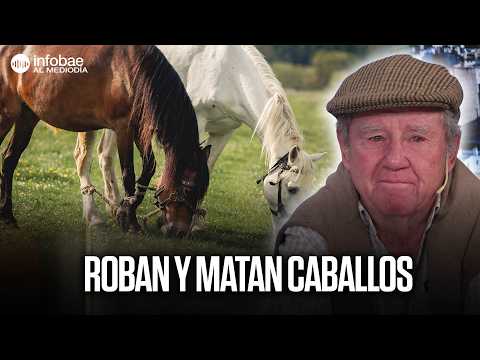 ROBAN y MATAN CABALLOS de POLO en PILAR: la trama detrás de una ola de FAENA CLANDESTINA