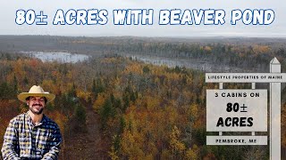 80± Acres of Recreational Land With Beaver Pond| Maine Real Estate