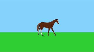 2D Animated Horse Walking Cycle (Full Color) 🐎