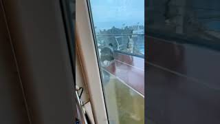 cruise ship gets hit with unbelievable tornado gust of wind! people flying everywhere! 💨