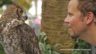 Experience Punta Gorda/Englewood Beach, the Charlotte Harbor and the Gulf Island Coast: 2016