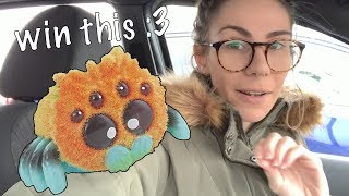 PETSMART | tarantula rehousing +Giveaway