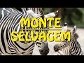 Monte Selvagem Animal Reserve - Portugal HD