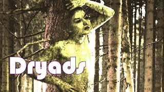 Dryads, Tree Spirits - Greek Mythology
