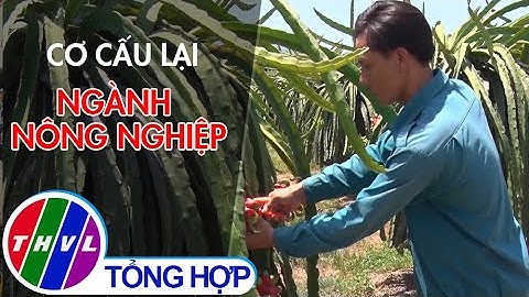 Cơ cấu lại ngành nông nghiệp