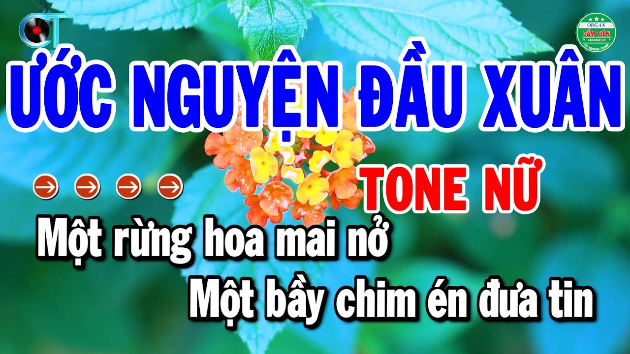 Karaoke Ước Nguyện Đầu Xuân Tone Nữ Nhạc Xuân Hay 2026 | Cẩm Tiên Organ