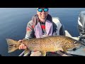 80cm Ferox Trout