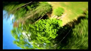 Holy shit 😅 that Tree Flow #fpv #freestyle